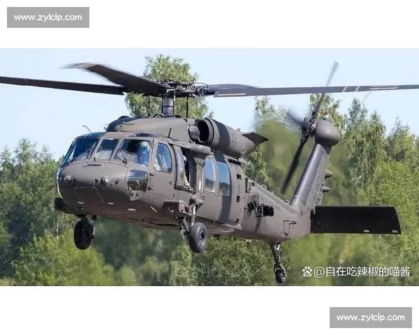 立陶宛vs伊拉克对决前瞻两队实力走势与比赛看点解析全面剖析