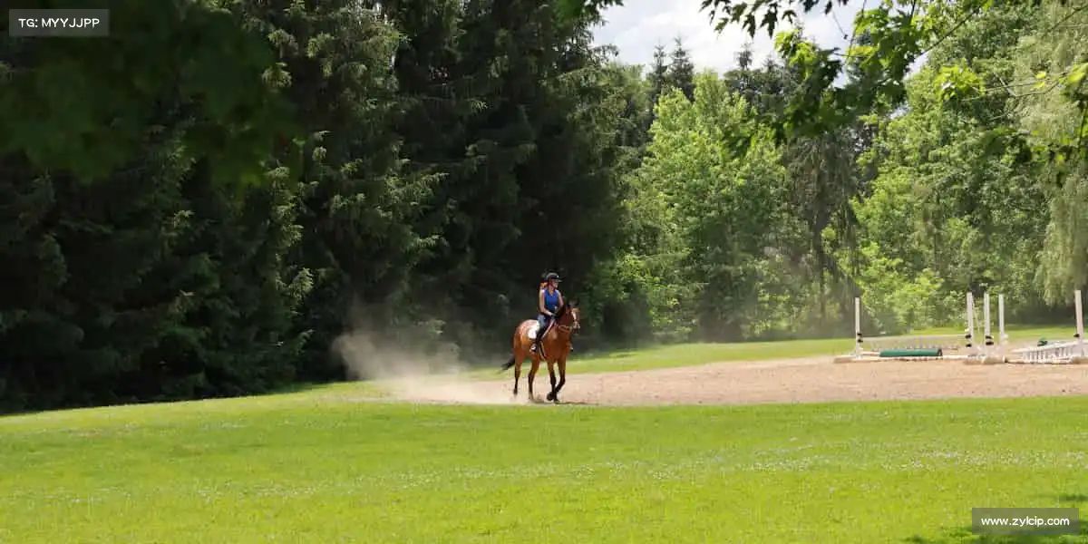 我们的品牌价值